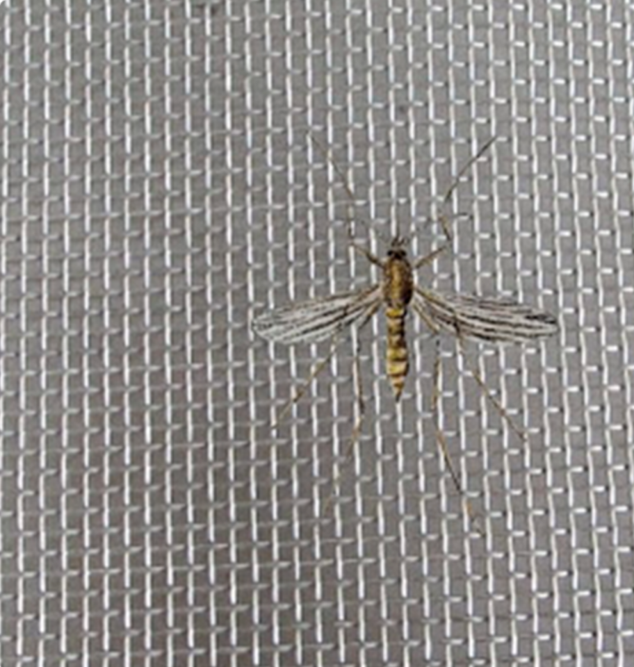 Malla Antiáfida Control de Insectos